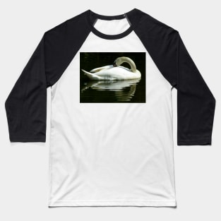 SWAN on water Baseball T-Shirt